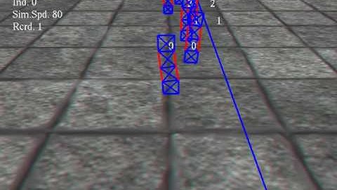 Keep the balance and advance (neural and physiological evolution 2)