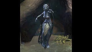 A Scholars Guide to Nymphs