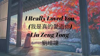 I Really Loved You (我是真的愛過你) - Liu Zeng Tong 劉增瞳_pinyin lyrics +Eng sub {Ri He Ja}