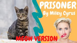 Prisoner by Dua Lipa & Miley Cyrus | Cats Singing Song Parody by MU6 - MusiX 1,557 views 3 years ago 1 minute, 42 seconds