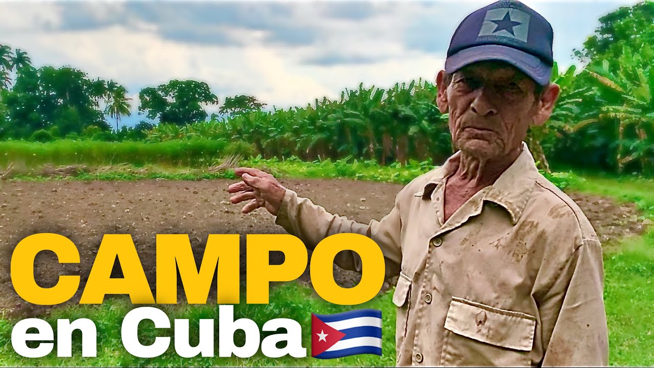 De ESTO VIVE un CAMPESINO en UN CAMPO de CUBA🇨🇺