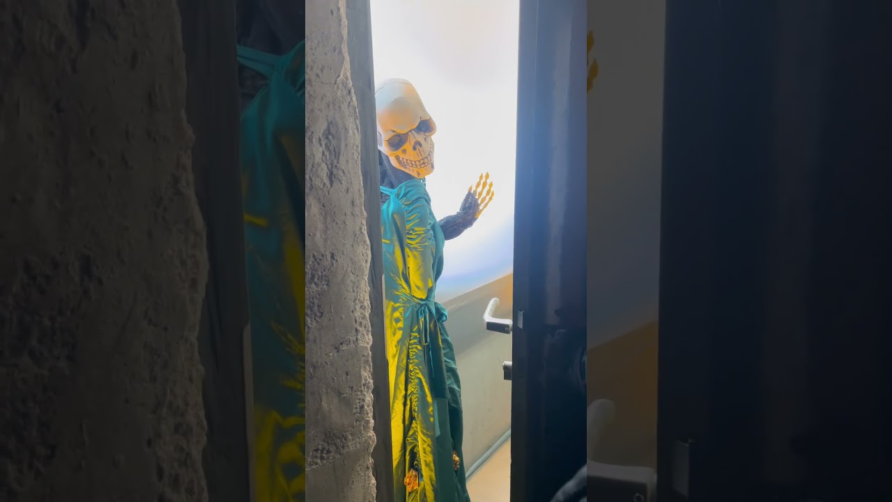 Die geheime Tür im Europa-Park, bei den Piraten in Batavia. Kennst du sie? 