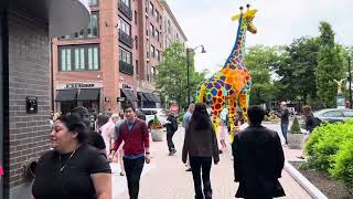 Boston Outlets Assembly Row