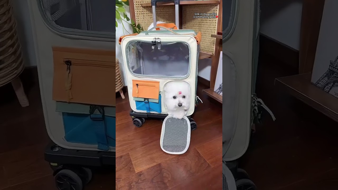 🌟 Finally, someone has designed a pet travel bag as convenient as a suitcase!