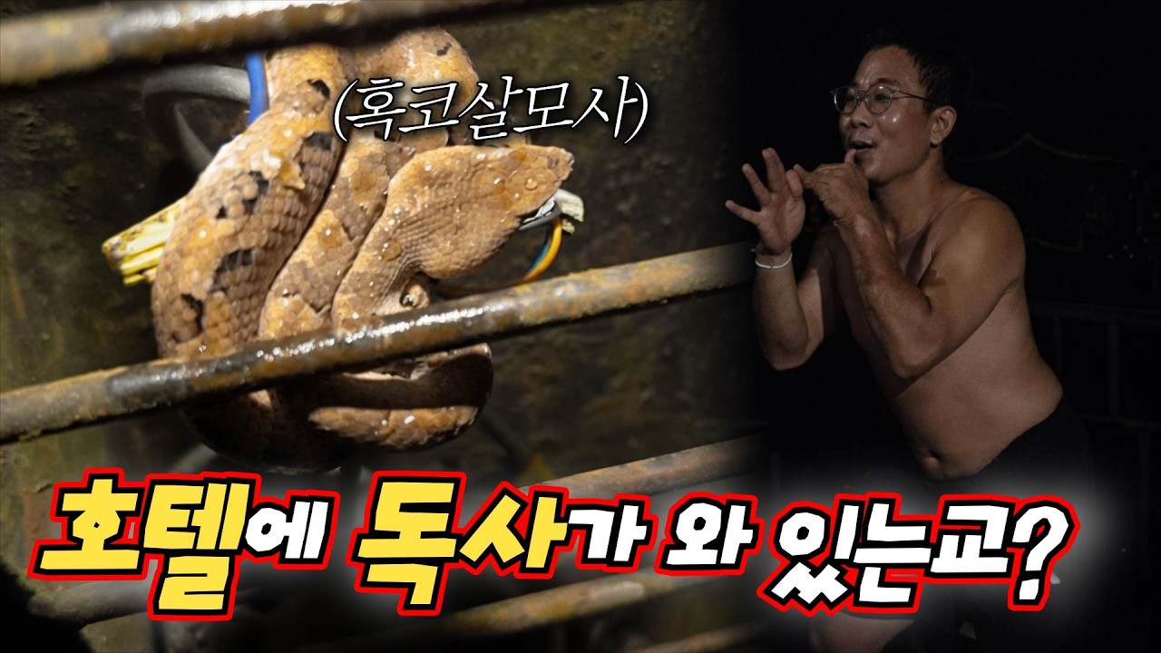 스리랑카 호텔에 왜 독사가 있는교?