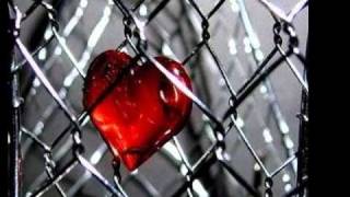 Emilia Kokic-Moja Ljubavi