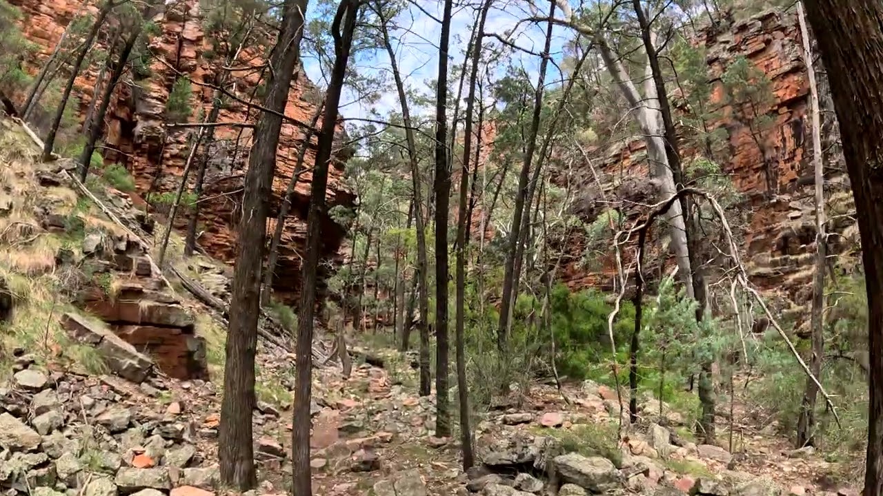 Alligator Gorge, South Australia