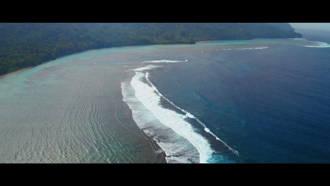 Saupiquet en partenariat avec WWF