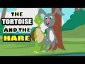 Moral Story For Kids in English | The Tortoise And The Hare | Animal & Jungle Story