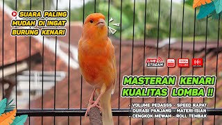 Masteran Kenari GACOR Durasi Panjang‼️ COCOK untuk Pancingan Kenari PAUD dan Kenari MACET BUNYI #211