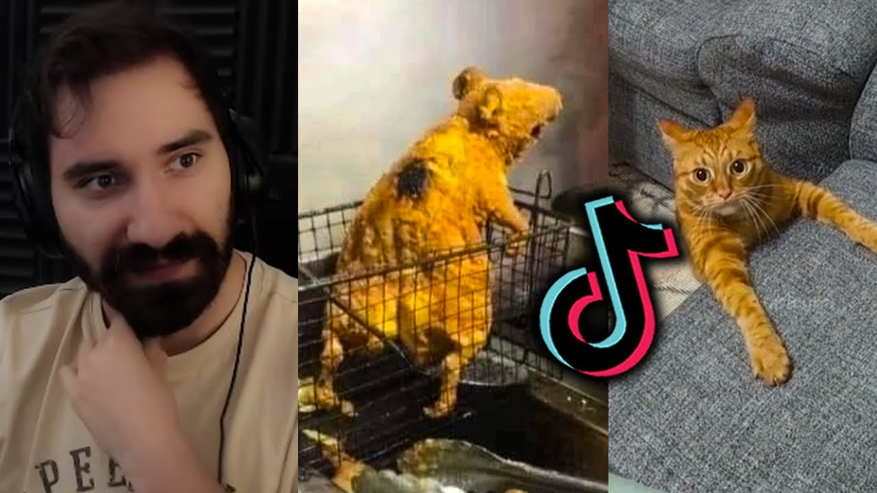 TIKTOKI KTÓRYCHH NIE DA SIĘ ODZOBACZYĆ 😨