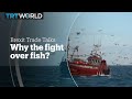 BREXIT TRADE TALKS: Why the fight over fish?