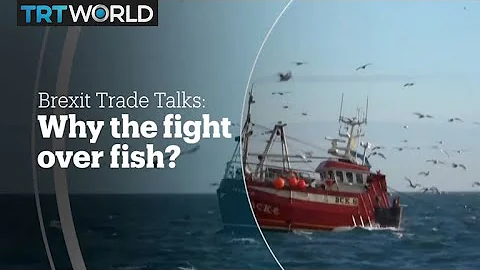 BREXIT TRADE TALKS: Why the fight over fish?