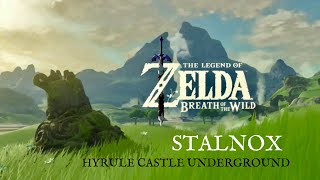 Stalnox, Hyrule Castle Underground 4K 60 Fps