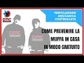 Come prevenire la muffa in casa in maniera semplice e gratuita