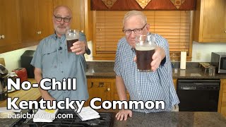 No Chill Kentucky Common - Basic Brewing Video - December 1, 2023