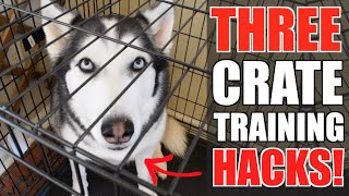 Can't Crate Train Your Siberian Husky? WATCH THIS VIDEO NOW! (3 Tricks For Perfect Crate Training)