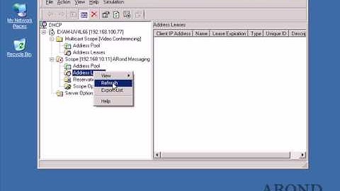 How To Inspect DHCP Leases Quick & Simple