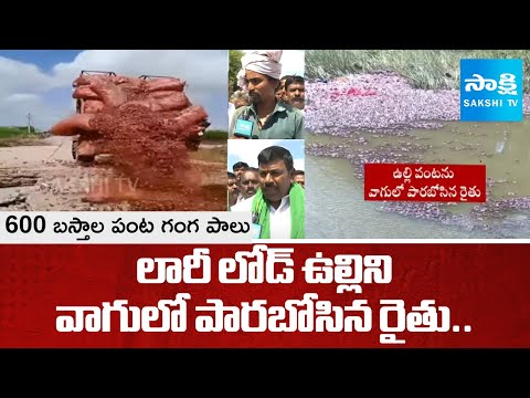 600 బస్తాల పంట గంగ పాలు | Farmer Dumped Onions Into Water | MLA Virupakshi Demanding Support Price - SAKSHITV