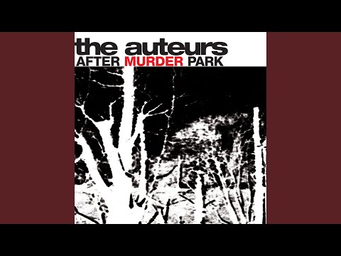 洋楽 The Auteurs / After Murder Park hqdefault.jpg