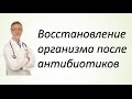 Восстановление организма после антибиотиков