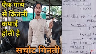 cow milk profit whole Lactation I एक गाय से कितनी कमाई होती है screenshot 4