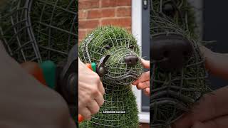 This Dog’s Entrance Turned Into a Magical Glowing Garden 🌿🐕#outdoordesign #cutedog