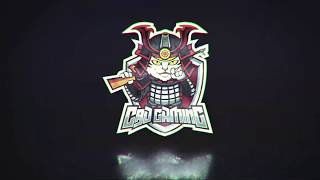 INTRO LOGO CBD GAMING - INTRO LOGO GAMING