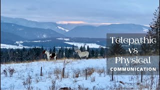 Animal Telepathic vs Physical Communication
