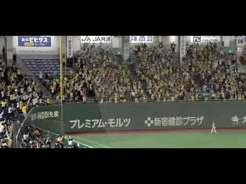 【虎党】北條史也の今シーズン初HR！　阪神vs巨人　NPB