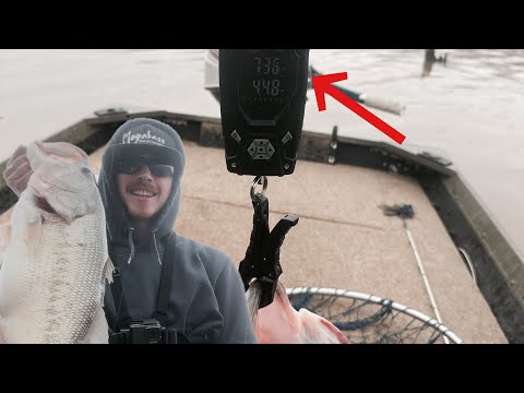 The biggest bass I’ve ever caught in West Virginia! (PB)