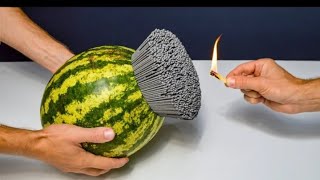 5000  फूलझड़ी बनाम तरबूज Shockwave Experiment:5000 Sparklers vs Watermelon #watermelon #sparklovers screenshot 4