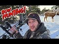 DEER HUNTING in the SNOW with my PSE COMPOUND BOW!!!