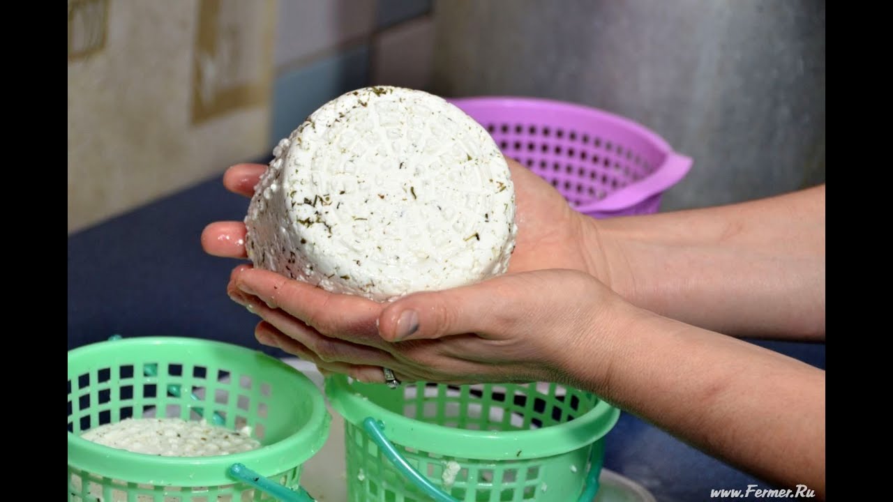 Варим сыр качотта дома у Марины Каманиной