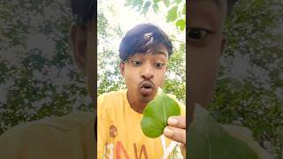Small, Big, Giant Blue Watermelon!?🤤