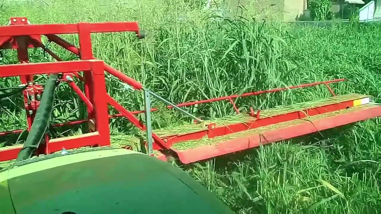 Mechanical weed control with  LOP 65 weed trimmer