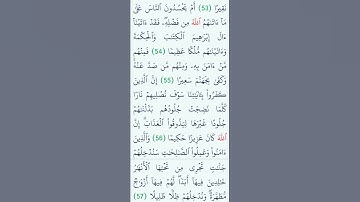 #القرآن #duet #المصحف #القرآن_الكريم #اكسبلور #القزابري #dosa #تلاوات #تيك_توك #دويتو
