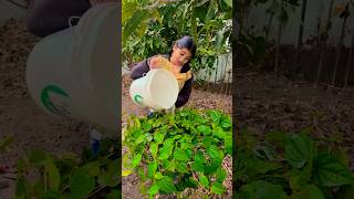 ￼ Save water 💦💧🥰🥰#trending #viral #ytshorts ￼