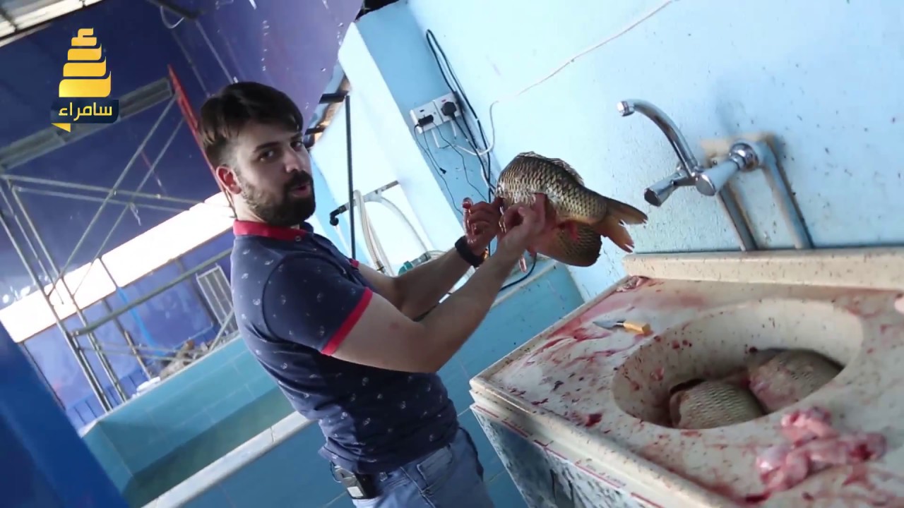 مقدم برنامج شوف شغلك يحاول تعلم عمل وشوي السمك المسكوف