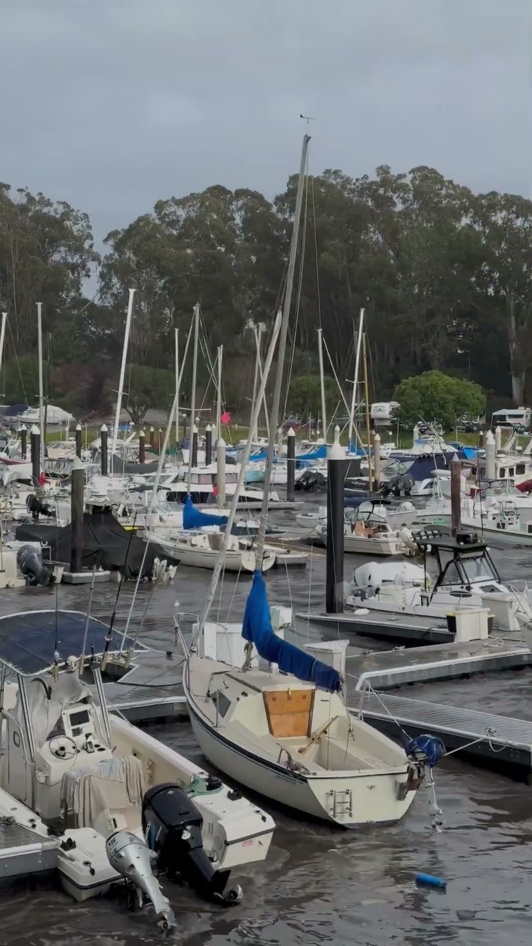 Swell Surging Through Santa Cruz Harbor || ViralHog