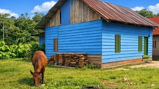 Download Lagu 10 Lagu Saleem Iklim Cover Rock Terbaik | Full Album Nostalgia Slow Rock Malaysia MP3