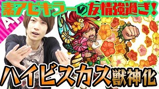 【モンスト】SSもメチャクチャ強い！新キャラの中で1番気になったハイビスカスを使ってみた！