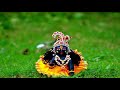 Happy janmashtmi | 2020