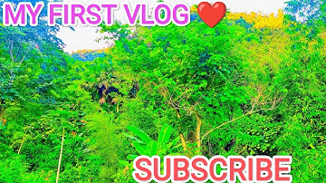 TODAY MY FIRST VLOGS TRENDING VIDEO ❤️^_^MY FIRST VIDEO ON YOUTUBE ! NIC-SUJAN VLOG
