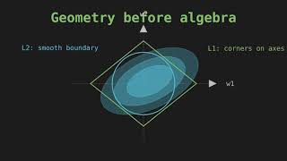 Celebrity Why does L1 regularization create sparse features? Wealth