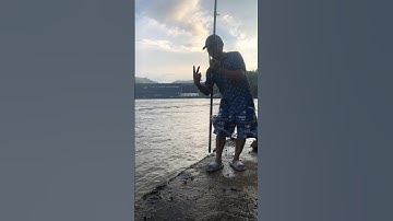 Một giật sấp đôi cá mương và rô phi tại sông đà #shorts