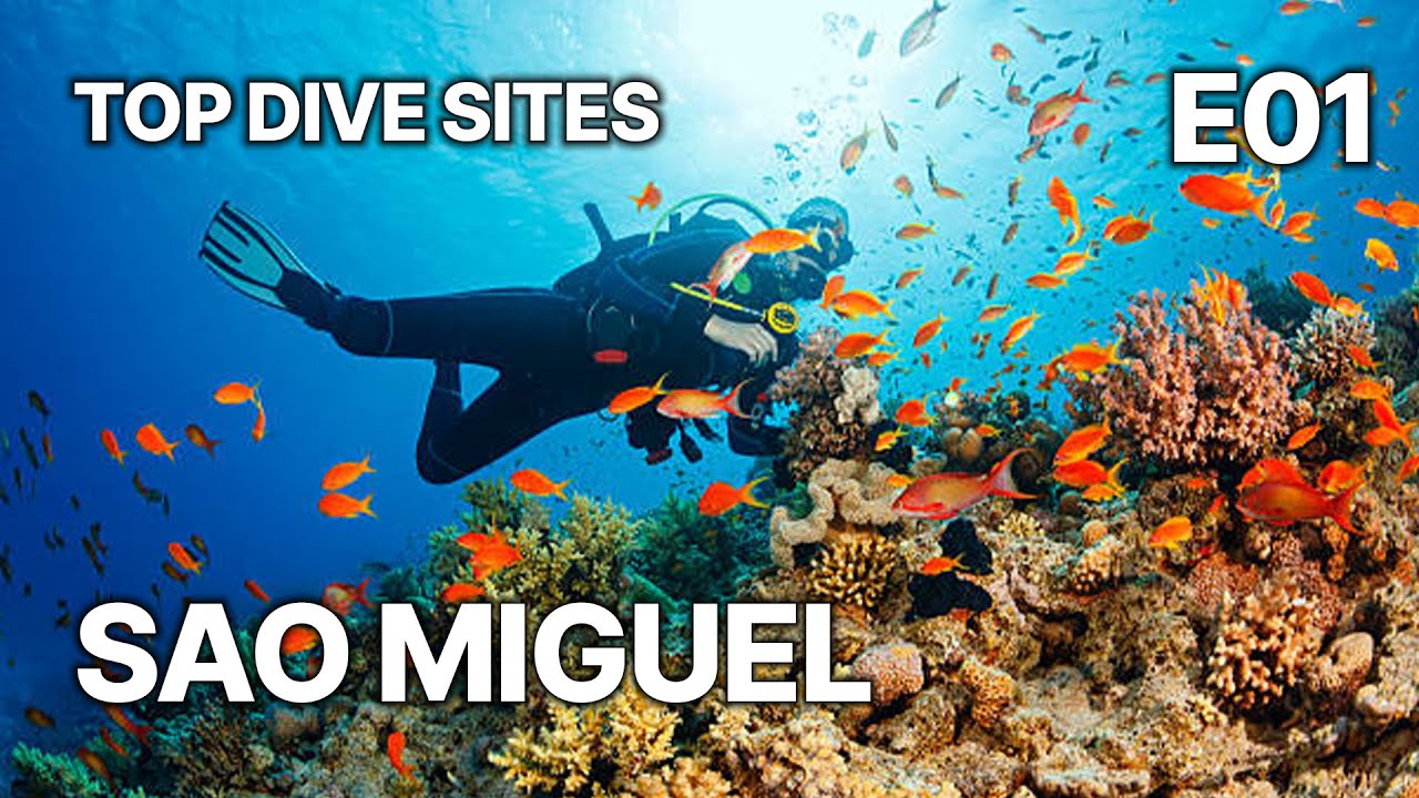 Top Dive Sites | S02 E01 Sao Miguel | Exploring the Azores' Hidden Underwater World