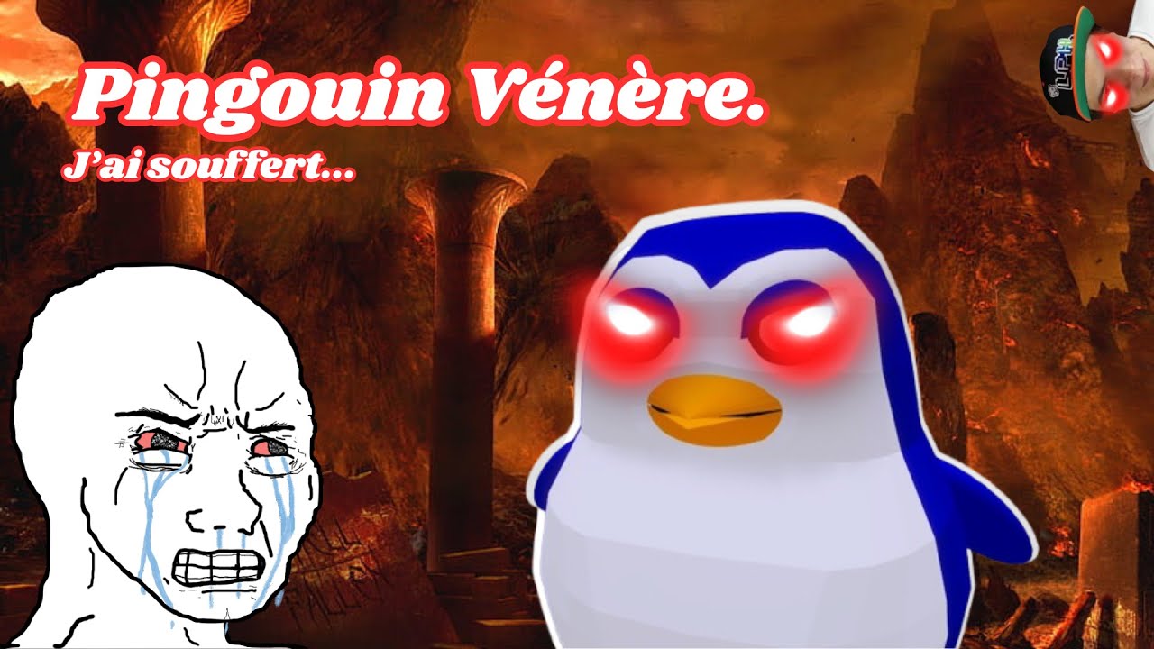 Pingouin Vénère. j'ai souffert...