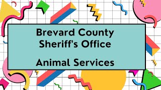 Tails and Tales with Brevard County Libraries and Brevard County Sheriff's Office Animal Services