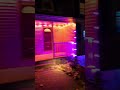 I'm Never Hanging Christmas Lights Again